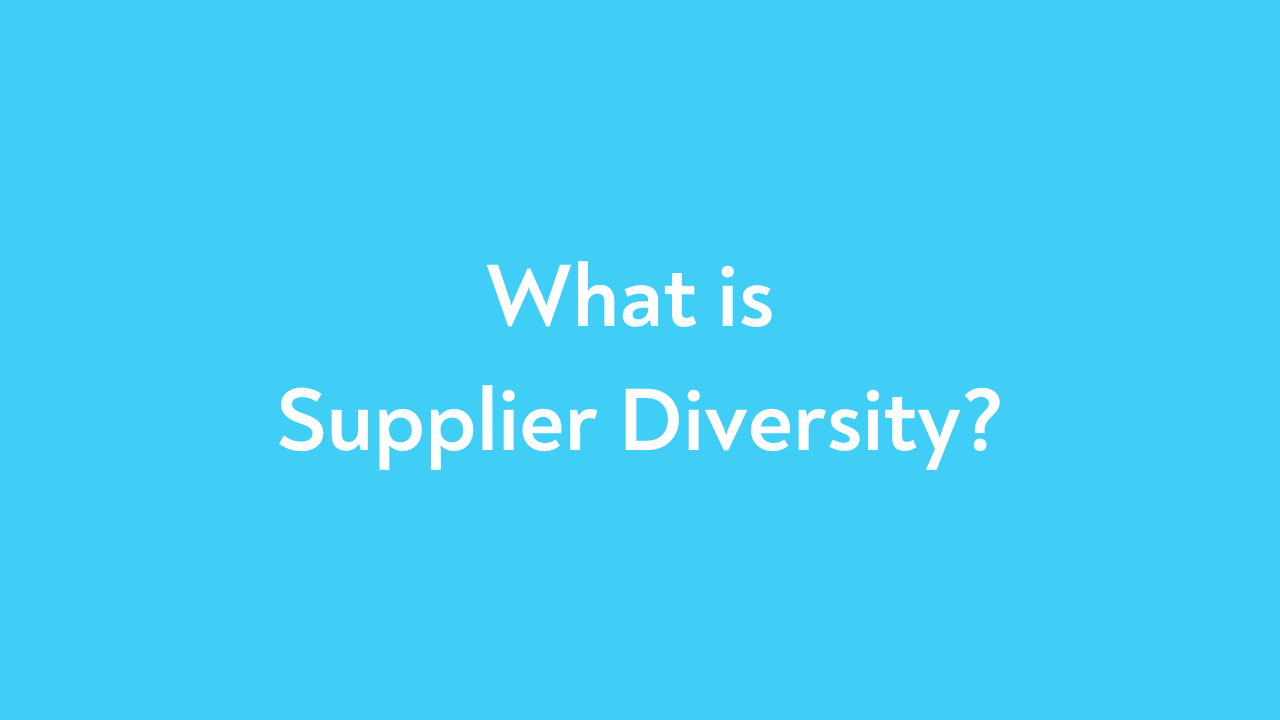 What is Supplier Diversity?