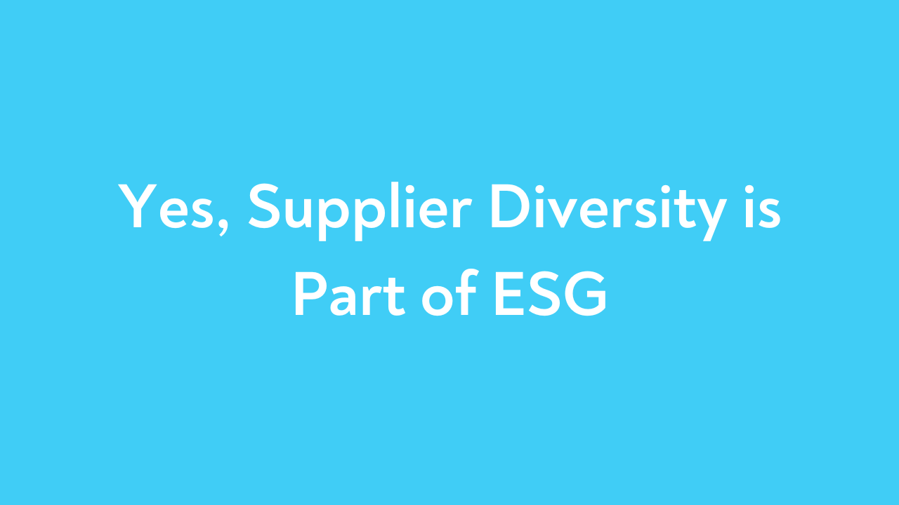 Yes, Supplier Diversity is Part of ESG